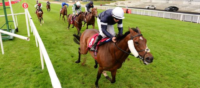 Twilight Payment is a Joseph O'Brien entrant in the Melbourne Cup 2020 at Flemington | Full List of Melbourne Cup Horses 