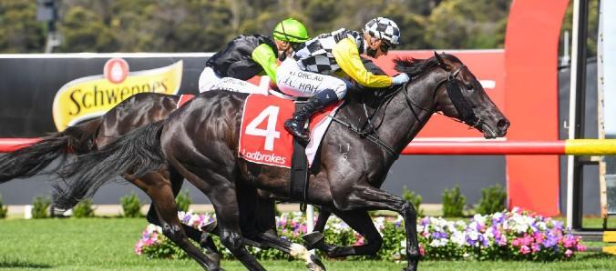 Phar Lap vs. Black Caviar - who is Australia's all-time greatest racehorse?