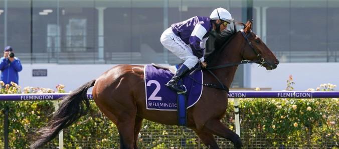 Phar Lap vs. Black Caviar - who is Australia's all-time greatest racehorse?