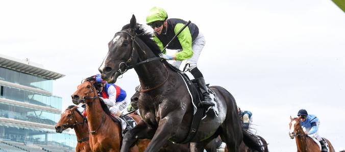 Persan is an entrant in the Melbourne Cup 2020 for Ciaron Maher and David EustacePunters.com.au