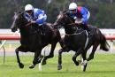 2015 Cox Plate winner Adelaide gallops with Royal Descent