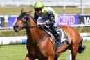 A Group One start hinges upon Manawanui's trial performance