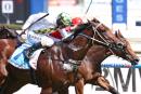 A Time For Julia lines-up in the G1 Oakleigh Plate