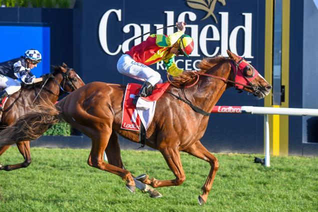 A jubilant Tom Sadler boots home Observational