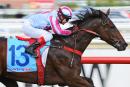 Akavoroun may head to The Championships if he delivers at Flemington
