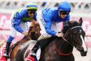 Antelucan will contest the Black Opal for Godolphin