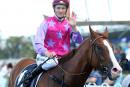 Blake Shinn has been on fire in Sydney