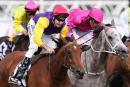 Bonaria may be heading to the Doncaster if the rain arrives in Sydney