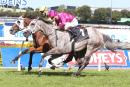 Catkins hitting the line at Rosehill
