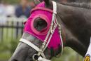 Catkins is eyeing off a maiden Group One victory