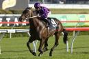 Chris Waller is not ruling out mile specialist Boban
