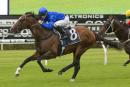 Contributer raced a touch flat second-up in the spring
