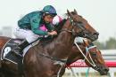 Damien Oliver is still not assured of the Wandjina ride