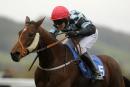 Danny Cook has been suspended from riding