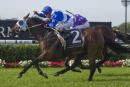 Dear Demi is capable of a solid run fresh at Warwick Farm