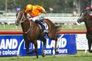 Entirely Platinum will strip fitter at Caulfield