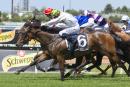 Fireworks taking out the Widden Stakes