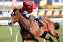 First Seal is primed to return to the winner's list this Saturday