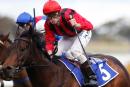 Hallowed Crown faces stiff opposition in the Randwick Guineas