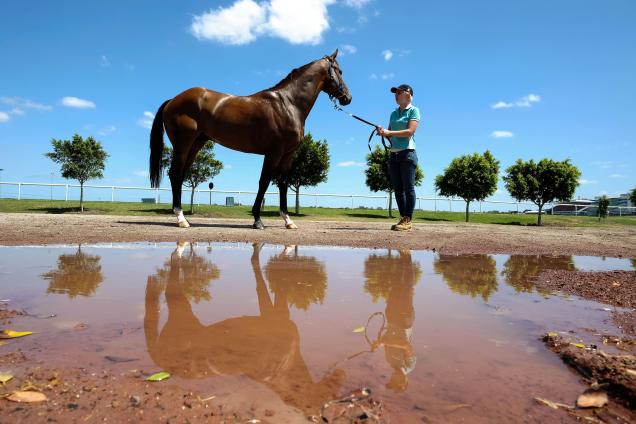 Hampton Court at Flemington ahead of Saturday's Derby
