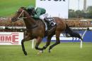 Headwater is the reigning Slipper favourite