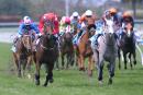 Iconic has tasted success at Caulfield before