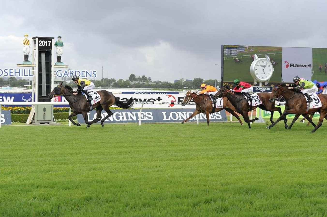 odds comparison horse racing ireland odds comparison horse racing ireland