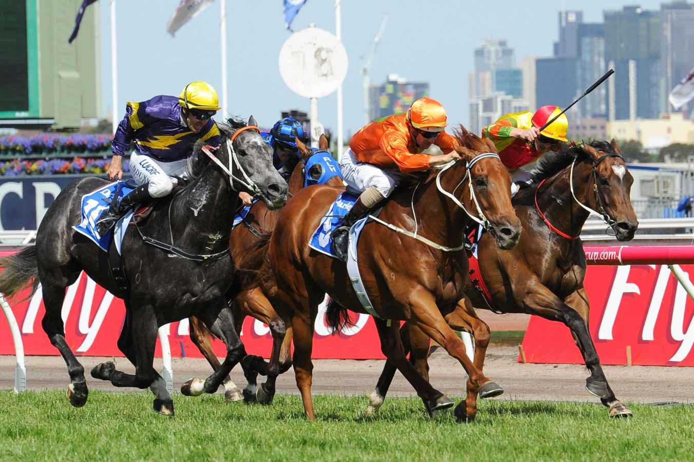 chips in black caviar lightning stakes flemington 20 02 16 chips