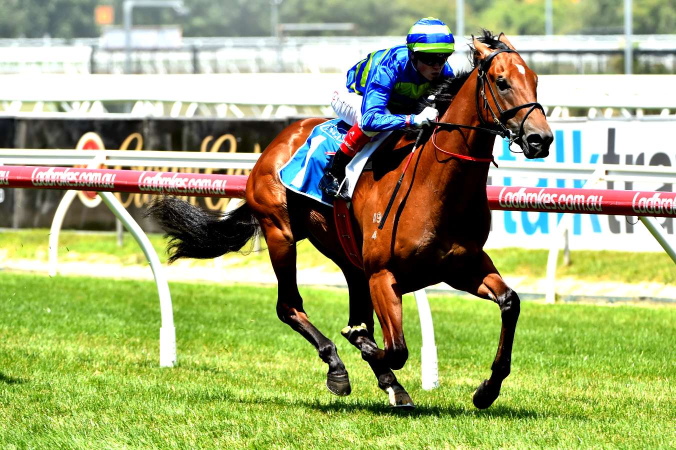 odds comparison horse racing ireland odds comparison horse racing ireland