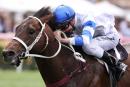 Kermadec is the Australian Guineas favourite