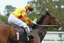 Lankan Rupee is looking to go back to back in the Newmarket