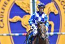 Mark Zahra rides favourite Fontiton in the Blue Diamond