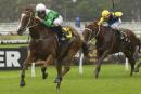 Mossfun drops back to 1000m and improvement is expected