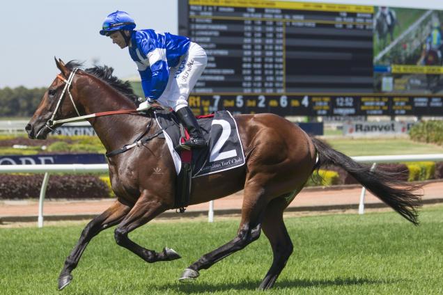 Mount Panorama Horse