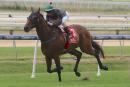 My Quilter has won two of his last three starts