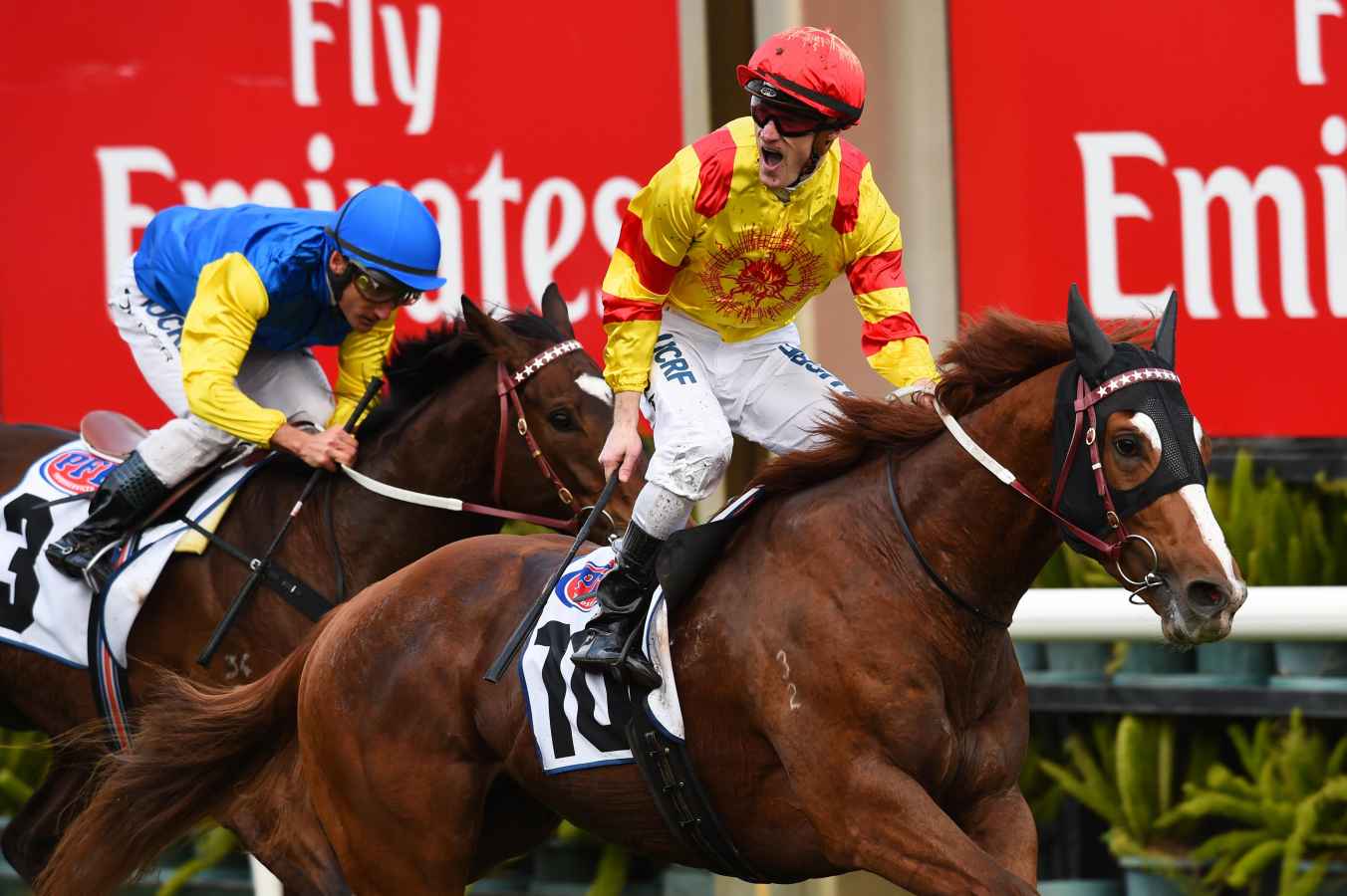 palentino could give weir first sydney win palentino could give weir first sydney win