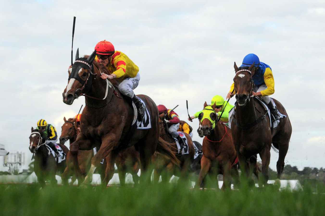 palentino wins g1 makybe diva stakes palentino wins g1 makybe diva stakes