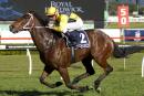 Rain Affair has had the blinkers applied