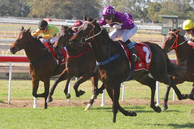 Ruby Ride victorious at Eagle Farm last year