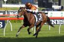 Soriano takes on star mare Rising Romance in the New Zealand Stakes