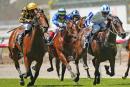 Stay With Me (L) finished second on debut at Flemington
