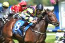 Suavito caused an upset in the Futurity Stakes