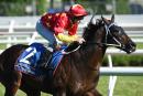 The real Dissident stood up powerfully last start