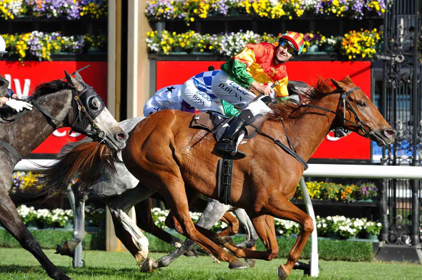 Flemington preview and tips for every race on Australian Cup day