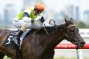 Tuscan Fire is handicapped to win