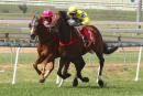 Volkhere and Hi Son will meet again on Saturday