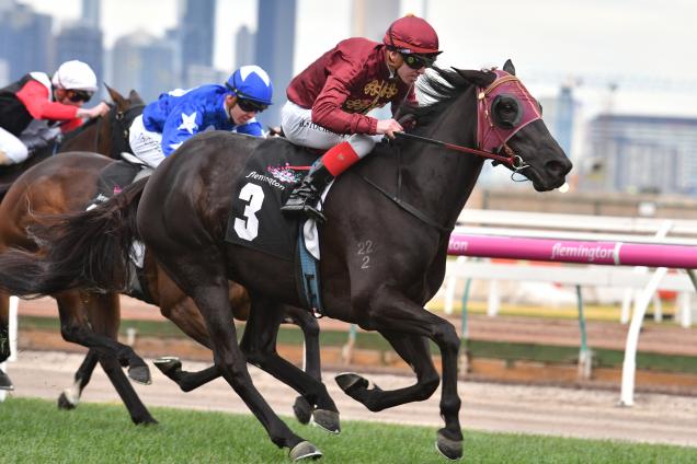 Dulverton will be back at Flemington on Saturday