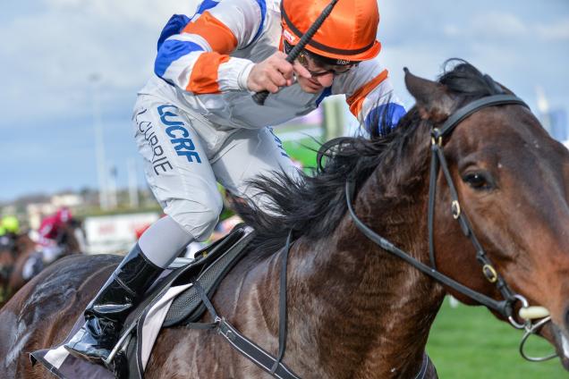 Hey Doc wins the Aurie Star Handicap at Flemington