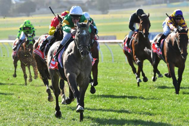 Jack Martin and Fully Maxed storm to victory at Sandown