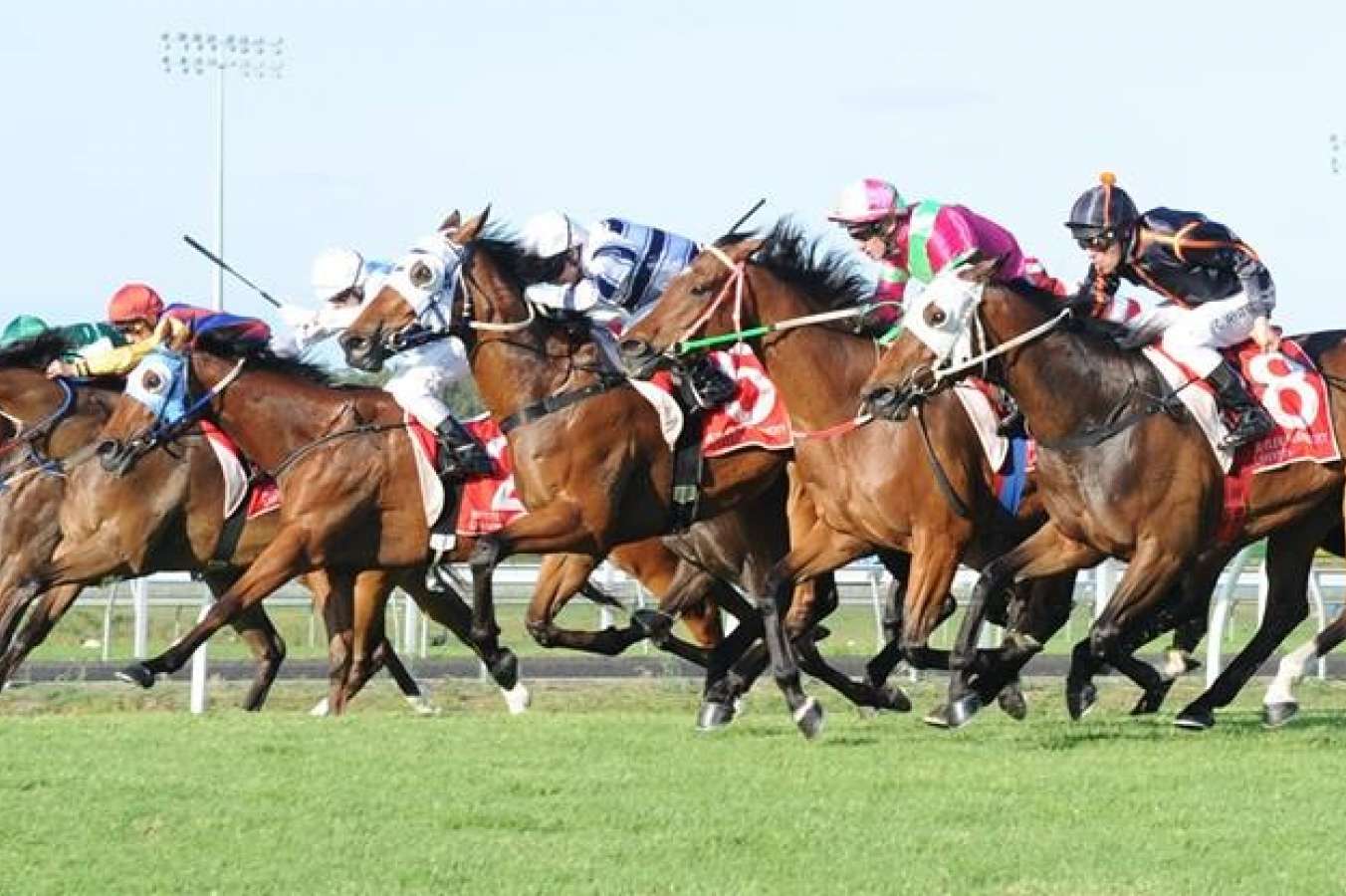 an understanding of horse racing the sport of kings an understanding of horse racing the sport of kings